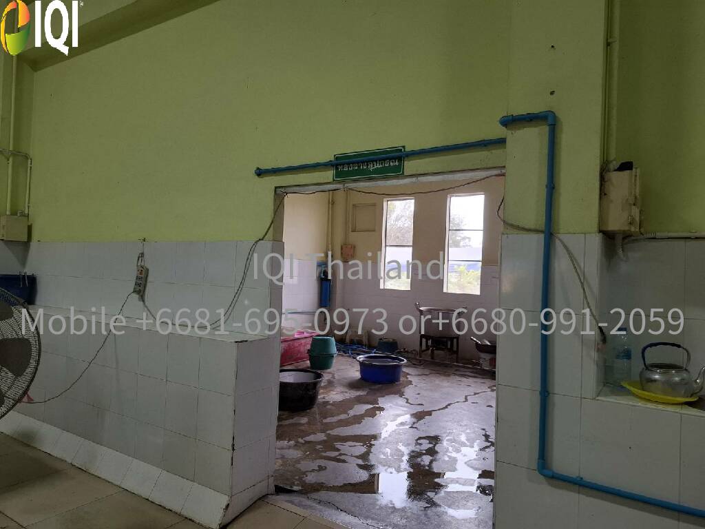 Land for sale, including a dessert factory image