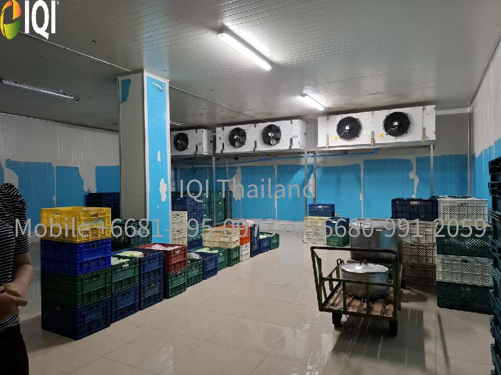 Land for sale, including a dessert factory image