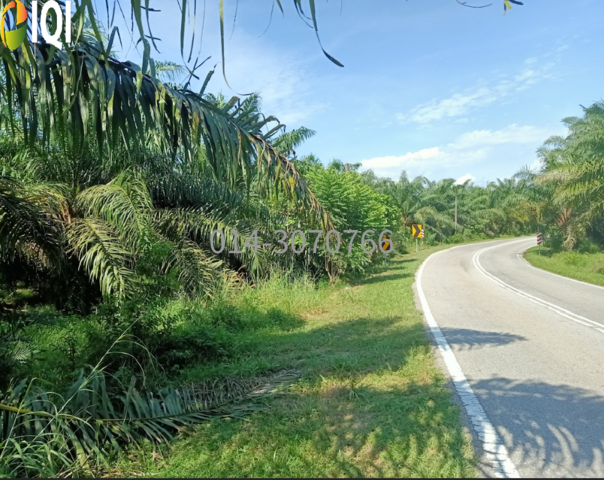 3.7 Acres Residential Zoning Bukit Karangan, Kulim, Kedah @  RM 12/sqft photo