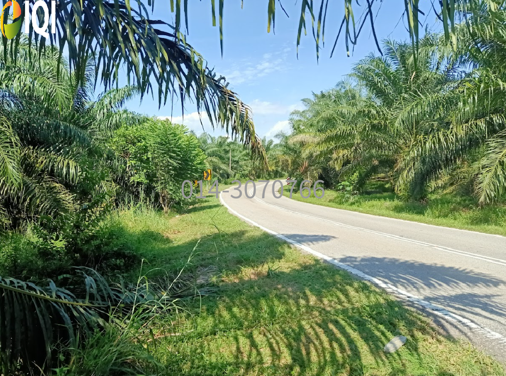 3.7 Acres Residential Zoning Bukit Karangan, Kulim, Kedah @  RM 12/sqft image