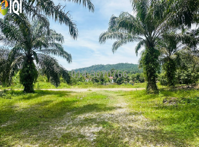 12 Acres Agriculture Zoning Sungai Kob @  RM 14/sqft photo