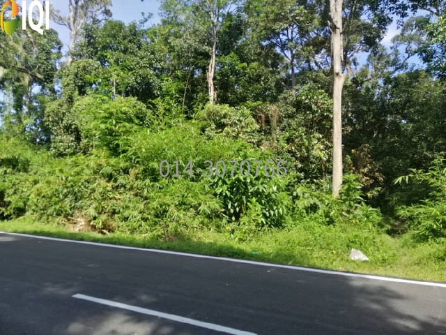 Paya Besar, Kulim, Kedah image