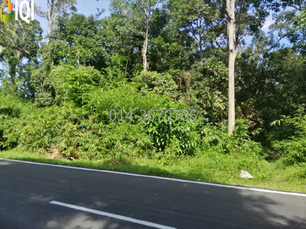 Paya Besar, Kulim, Kedah image