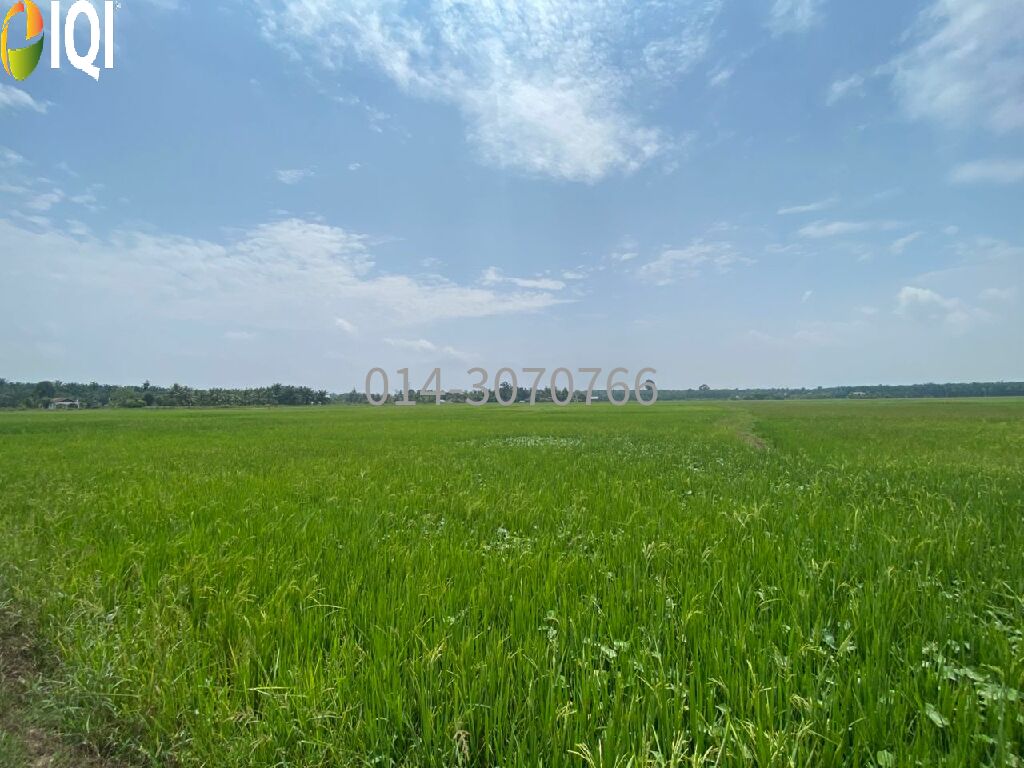  Padang Serai, Kedah image