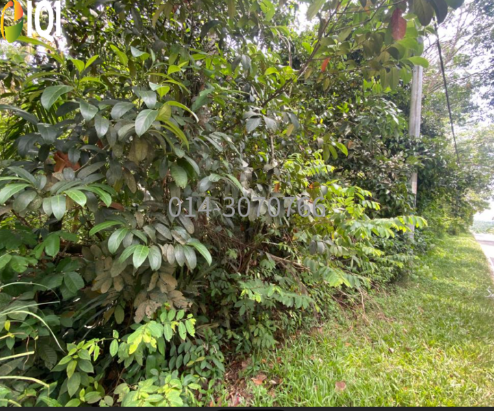 Pekan Karangan, Kulim, Kedah