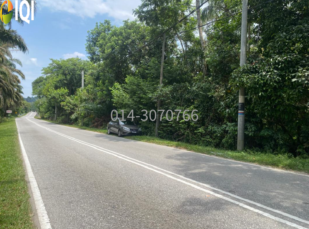 Pekan Karangan, Kulim, Kedah image