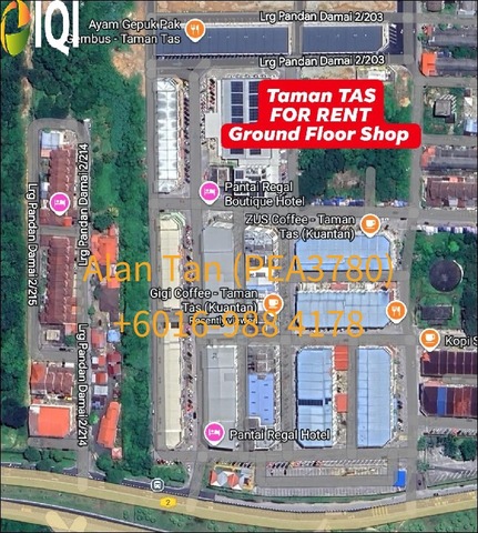 Pandan Damai (Taman TAS, Kuantan) photo