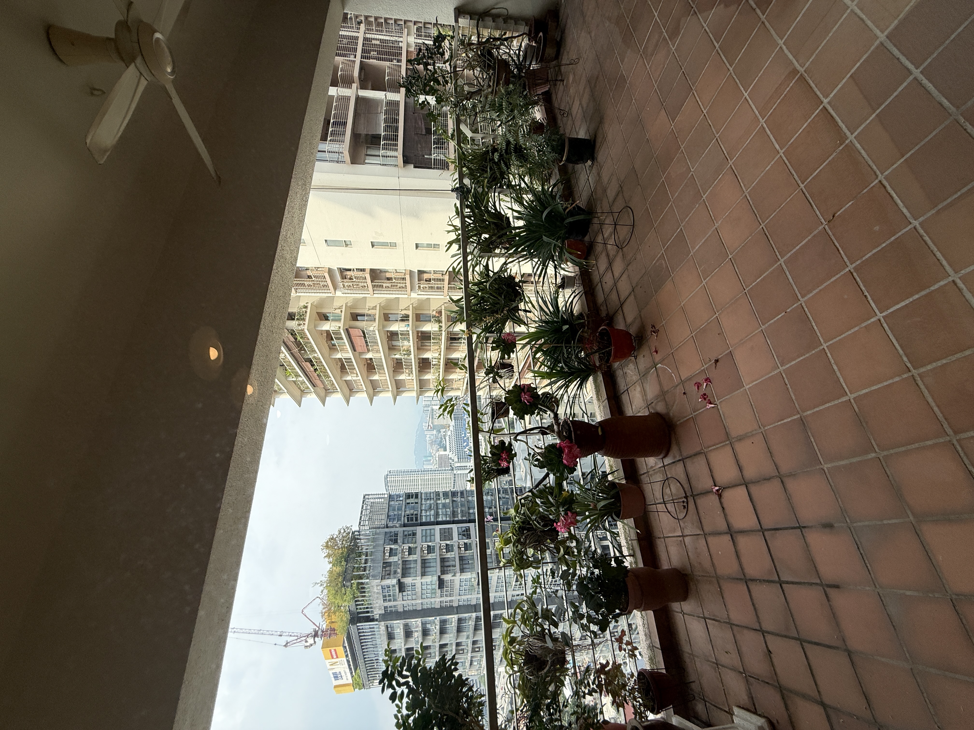 Hampshire Park Condominium image