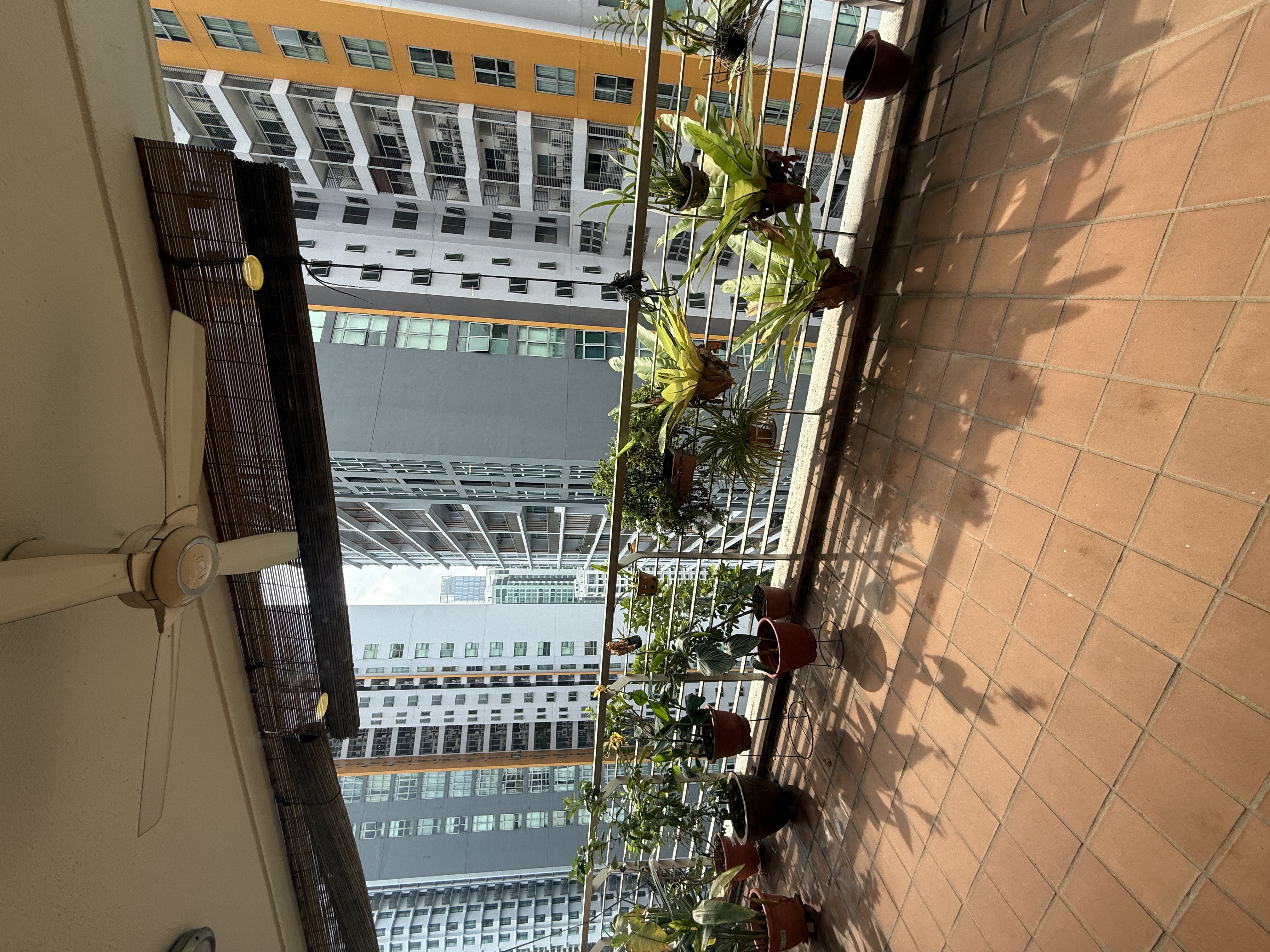 Hampshire Park Condominium image