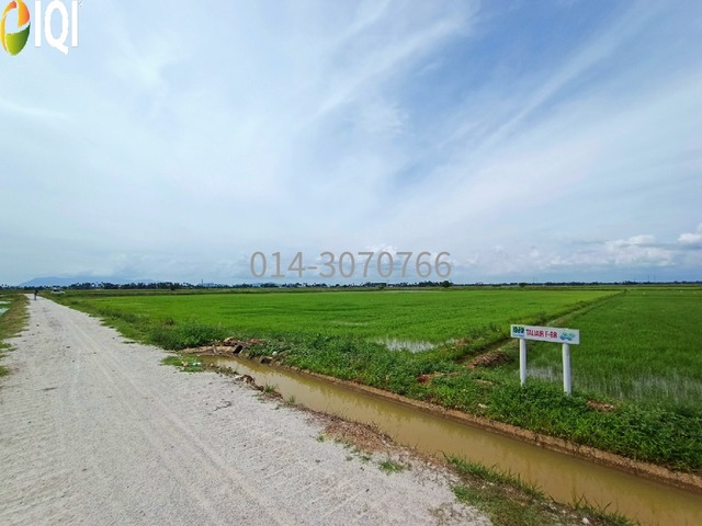 Permatang Tok Gelam, Seberang Perai Utara image