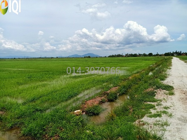Permatang Tok Gelam, Seberang Perai Utara image