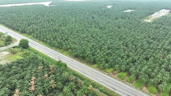 Bukit Changgang image