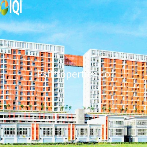 Suria Jelutong image