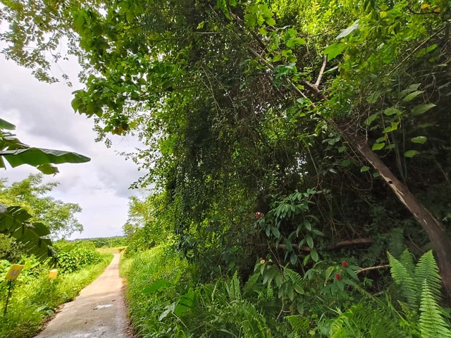 JALAN RANCHA - RANCHA LABUAN image