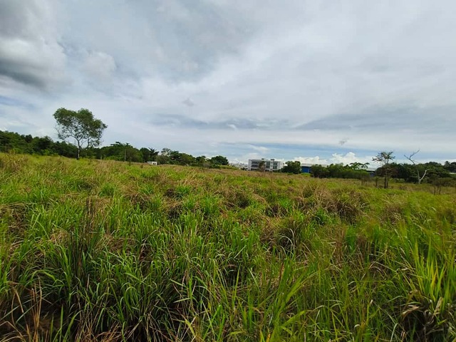 JALAN RANCHA - RANCHA LABUAN image