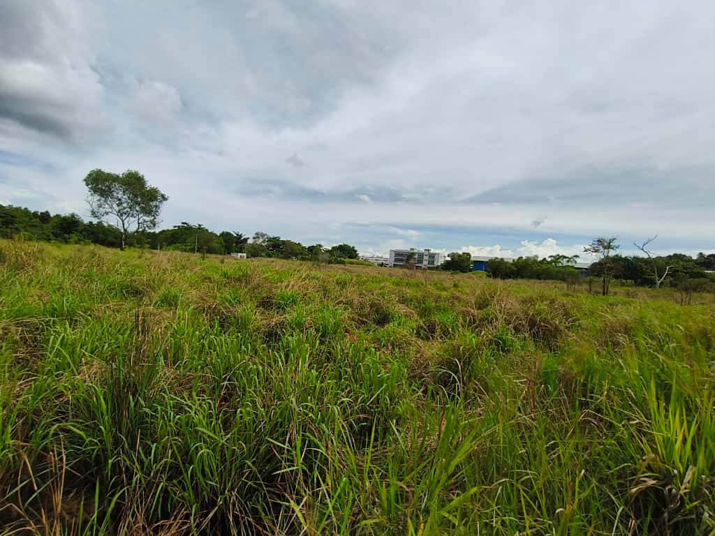 JALAN RANCHA - RANCHA LABUAN image