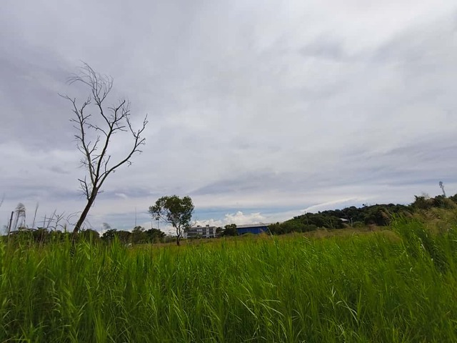 JALAN RANCHA - RANCHA LABUAN image