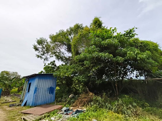 JALAN RANCHA - RANCHA LABUAN image