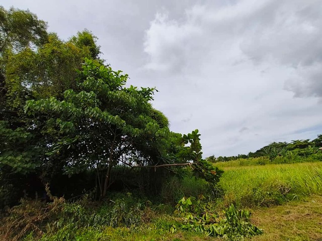 JALAN RANCHA - RANCHA LABUAN image