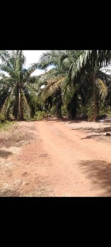 Jalan Kota Tinggi image