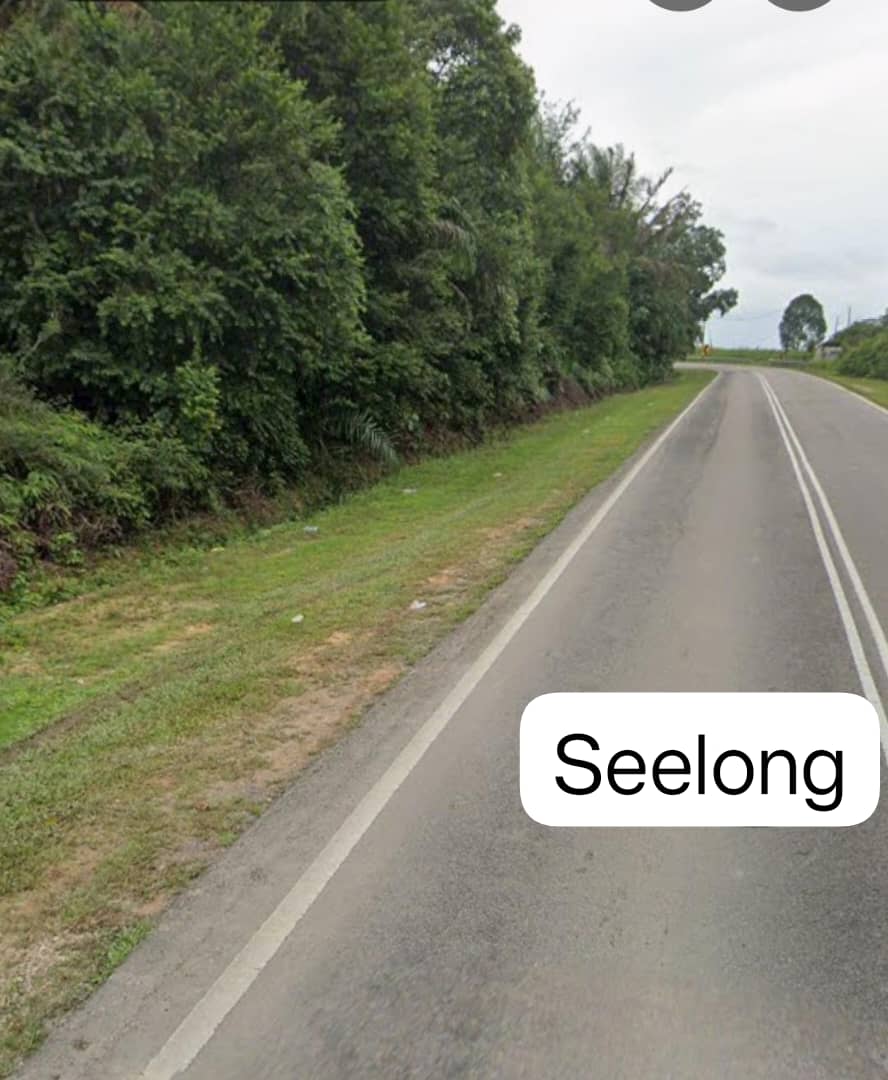 Senai, Seelong Land for Sale image