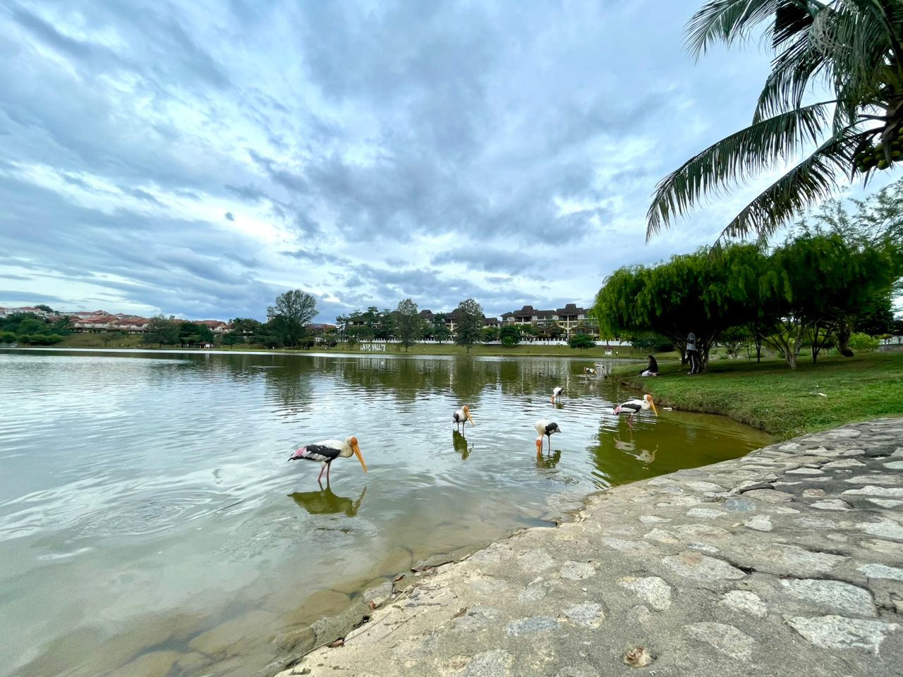 Avenue 1 Lake Valley image