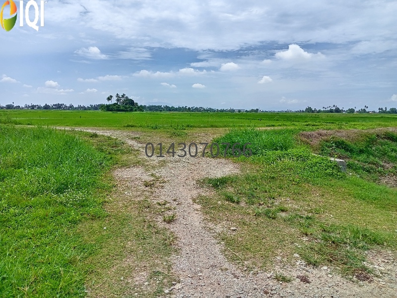 Tanah sesuai untuk Homestay @ Kampung Paya, Penaga, Pulau Pinang