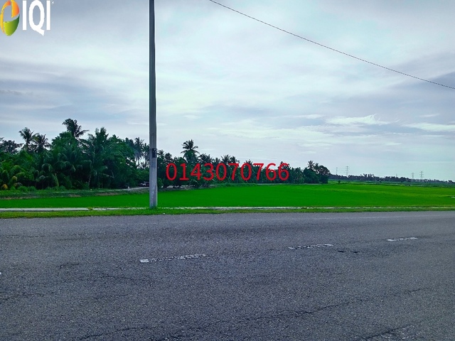  Tanah 1st Grade Tepi Jalan Besar - RM14 / kp. image