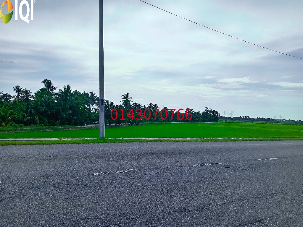  Tanah 1st Grade Tepi Jalan Besar - RM14 / kp. image