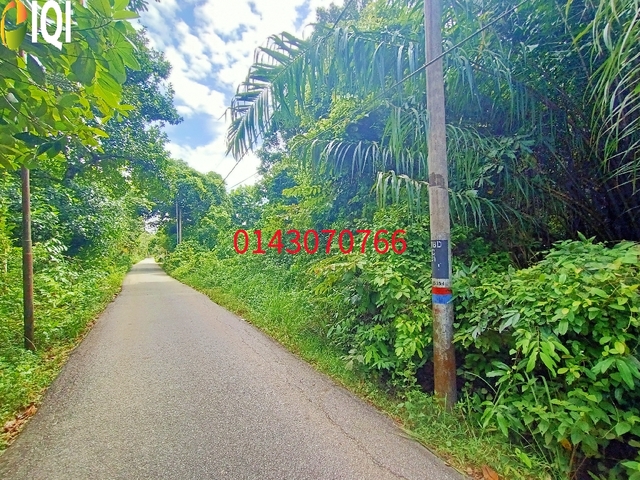 2 Acres Tanah Zoning Perumahan  @ Kg Tok Bedu, Tasek Gelugor - RM 22/kp image