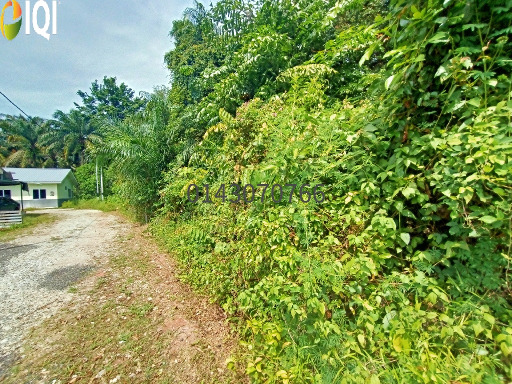 2 Acres Zoning Perumahan - Tanah Darat @ Pongsu Seribu - RM 25/kp image