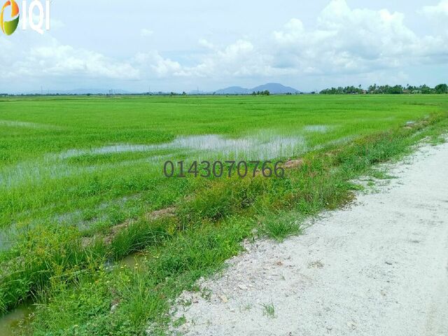  2.2 Acres 1st Grade RM 4.90 / sqft @ Permatang Tok Gelam photo