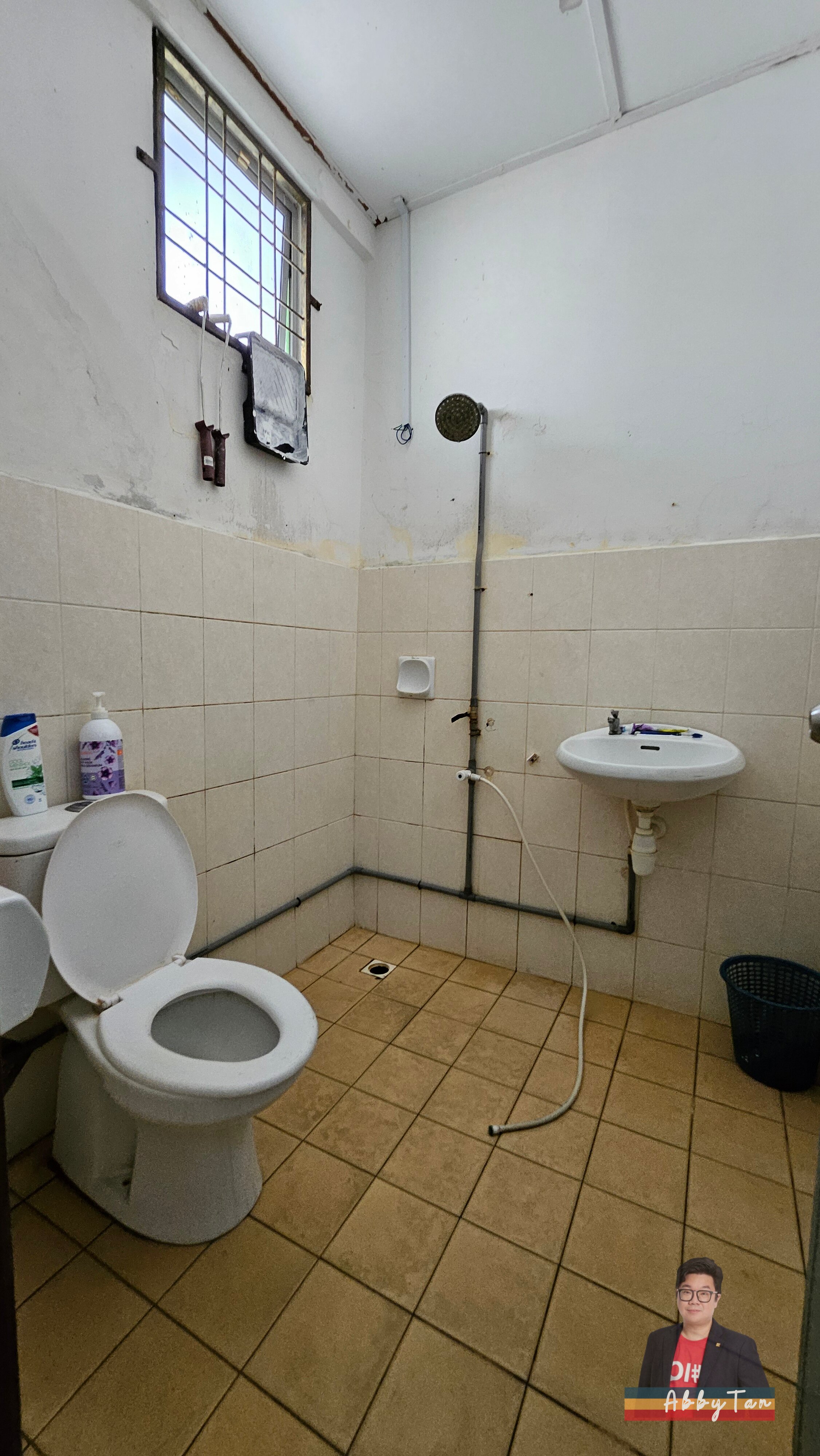 Taman Kingfisher Millenium | Family Home | Rumah Lama Perlu Touch-Up image