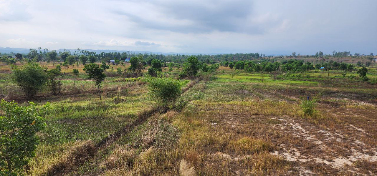 Land for sale [Stung Hav, Preah Sihanouk] image