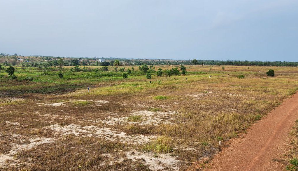 Land for sale [Stung Hav, Preah Sihanouk] image