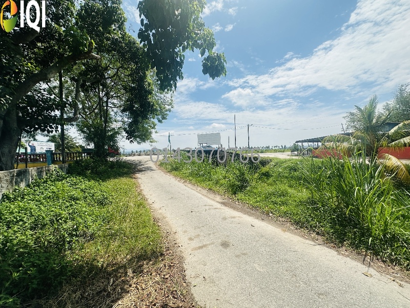 1.22 Ekar  1st Grade Dusun Buah-buahan @ RM 32 /kp di Paya Keladi Hujung, Bertam