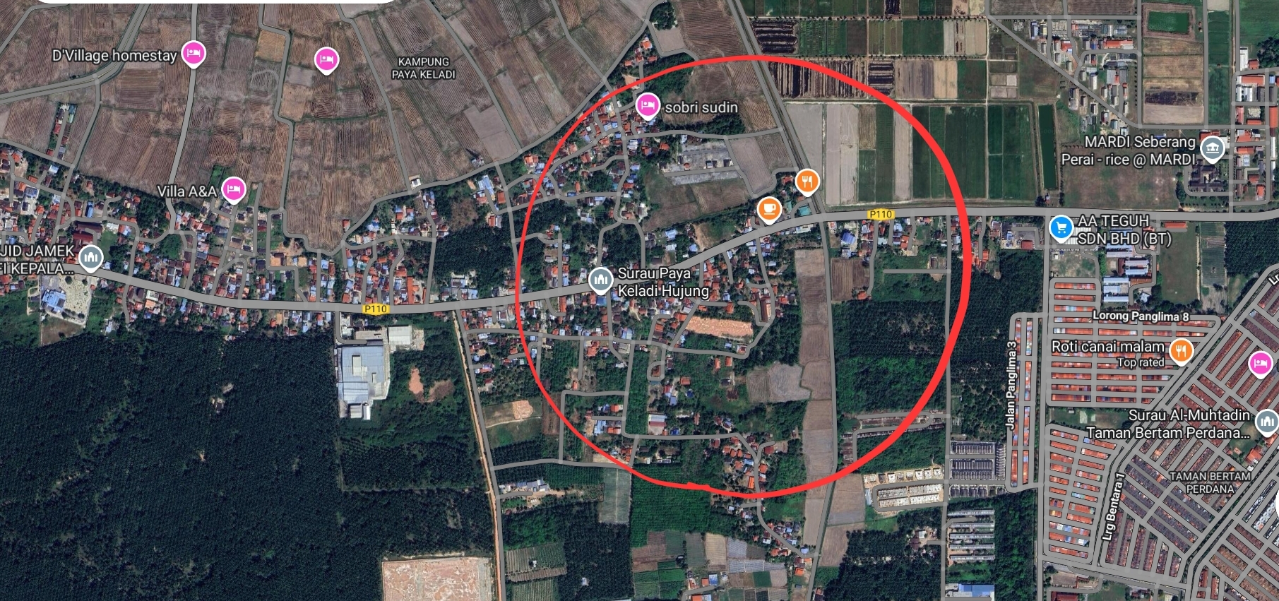 1.22 Ekar  1st Grade Dusun Buah-buahan @ RM 32 /kp di Paya Keladi Hujung, Bertam image