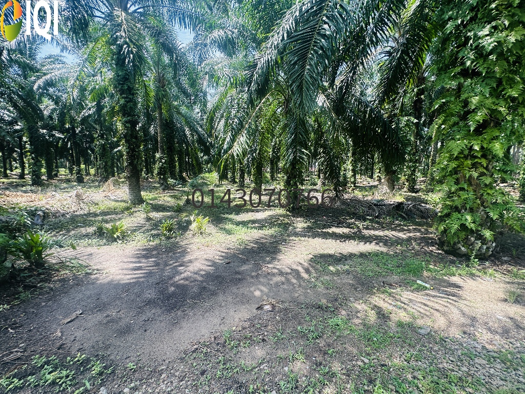  5.4 Ekar Tanah Darat Zoning Kampung @ Paya Keladi, Bertam image