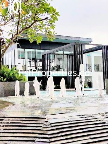 Denai 128 Habitus image