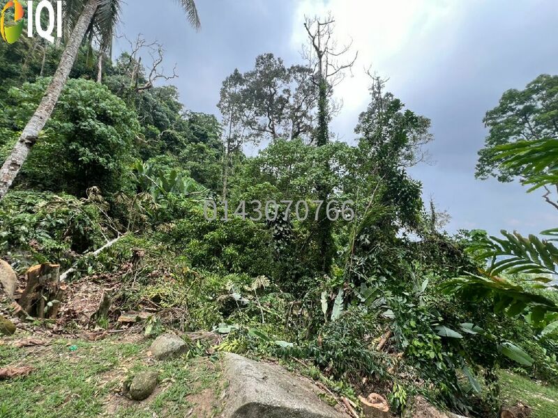 10 Acres Hill land for Inverstment @ Bukit Mertajam