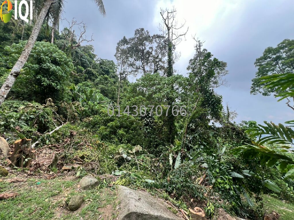 10 Acres Hill land for Inverstment @ Bukit Mertajam image