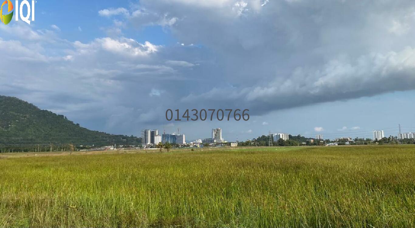 1.46 Acres @ RM 12.30/kp 1st Grade @  Permatang Nibong, B.M image