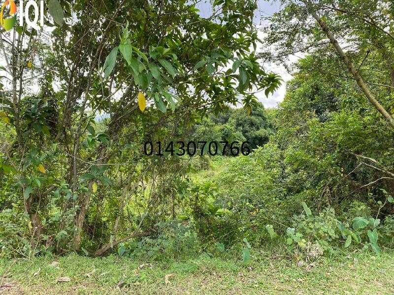  7.7 Ekar Tanah Darat 1st Grade @ RM 22/kp di Pengkalan Tambang, P.Pauh