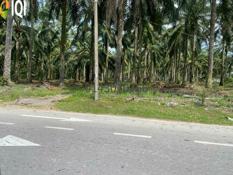 18 Acres Dusun Buah -buahan  @  Sg.Lembu,BM @RM 18 / Sqft