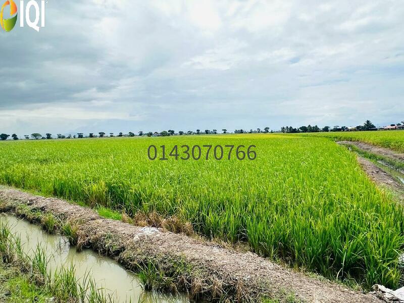 7 Ekar Tanah 1st Grade @ Lahar Kepar, Penang