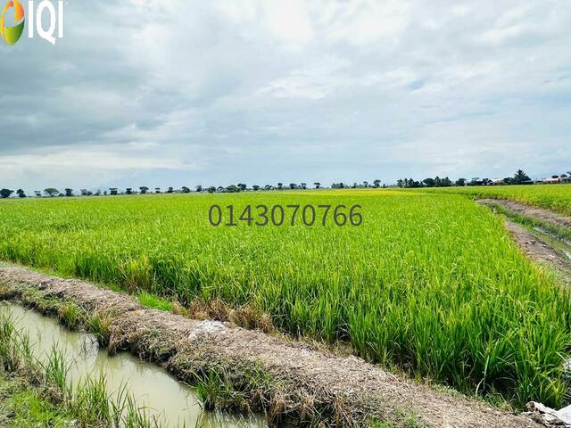 7 Ekar Tanah 1st Grade @ Lahar Kepar, Penang image