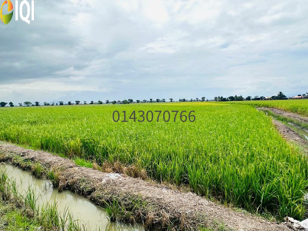 7 Ekar Tanah 1st Grade @ Lahar Kepar, Penang image