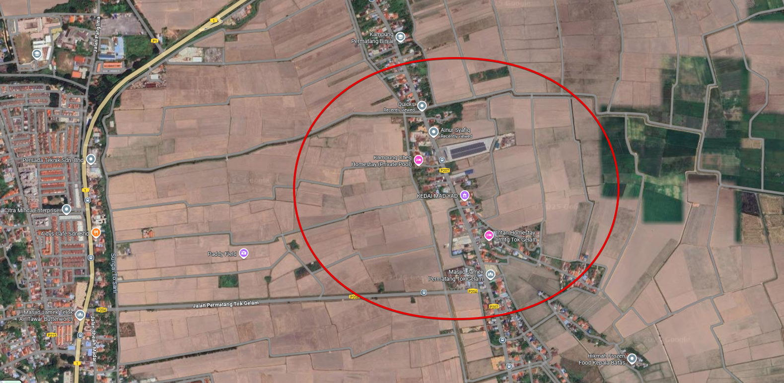 Tanah 4.3 ekar Tepi Jalan Permatang Binjai, SPU image