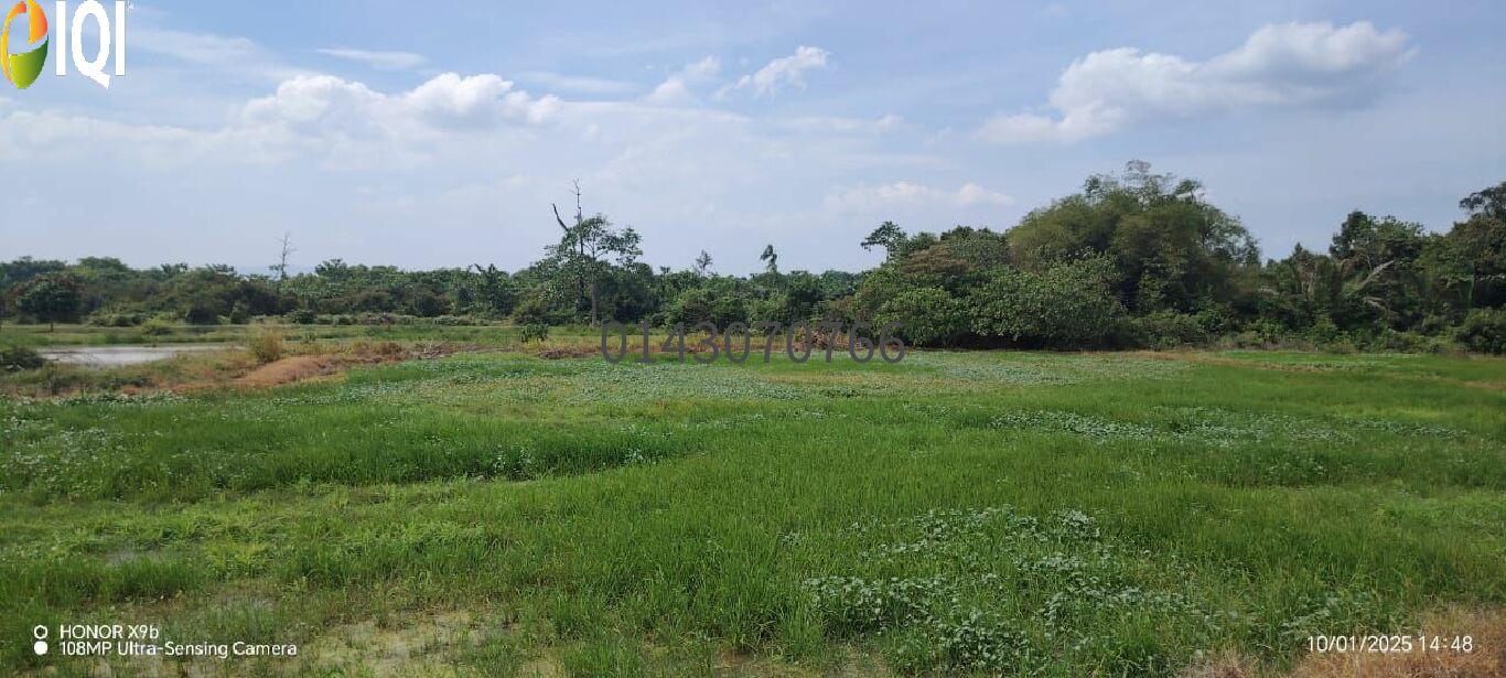 4.15 Acres Agriculture Zoning Jalan Guar Jering, Bukit Mertajam @ RM 4/Sqft image