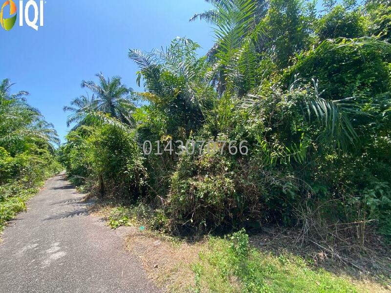  Spacious Freehold Village Land at Pengkalan Tambang